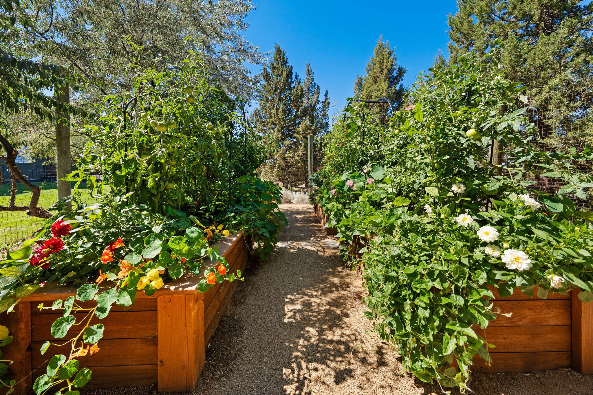 Red Cloud Ranch - Residential
