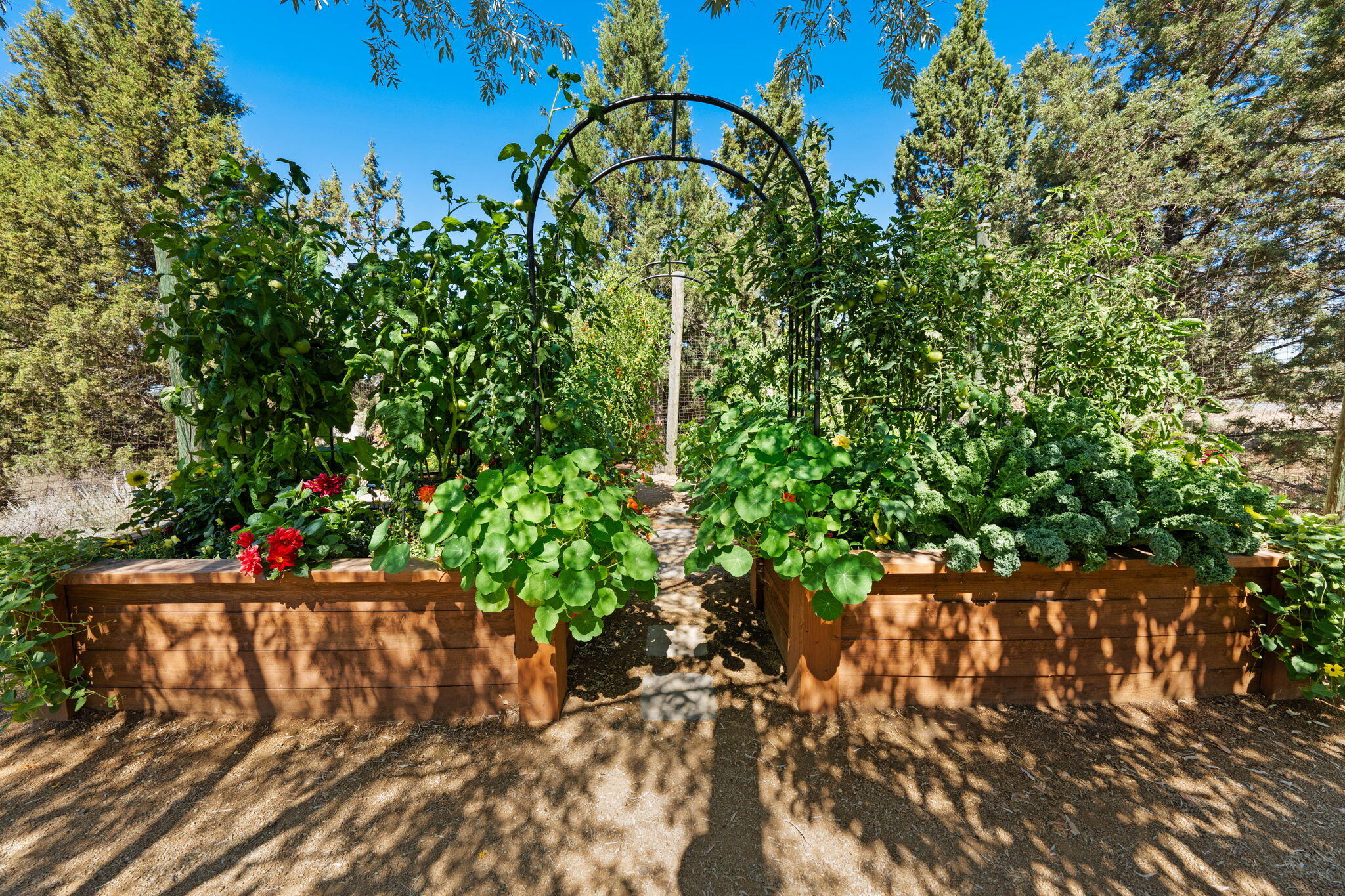 Red Cloud Ranch - Residential