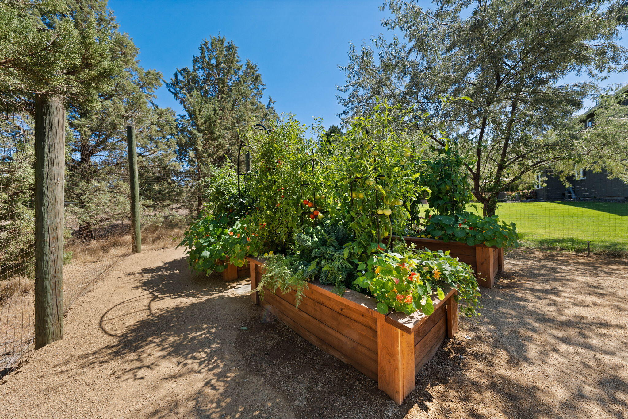 Red Cloud Ranch - Residential