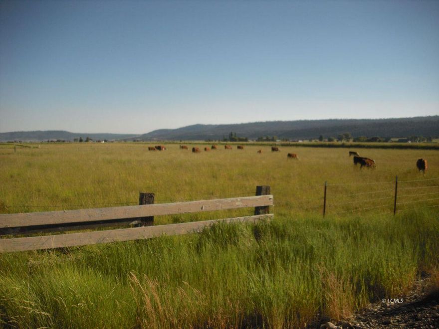 This pasture/farm is located west of Lakeview on the West Side. It has good water rights served by the Lakeview Water District. This operation has two houses and numerous outbuildings. One home has been remodeled recently, and the main house is in progress. This farm has been licensed to grow hemp, which had a small footprint on the farm. This property would be great for pasture, hay, or horse property. It is rare for this type of property to become available in the Goose Lake Valley. In addition to all the agriculture potential on this land, it is in a great school district, with small classes in a rural setting, 14 miles from Lakeview, Oregon. This opportunity to own and live in a fantastic rural community is rare.