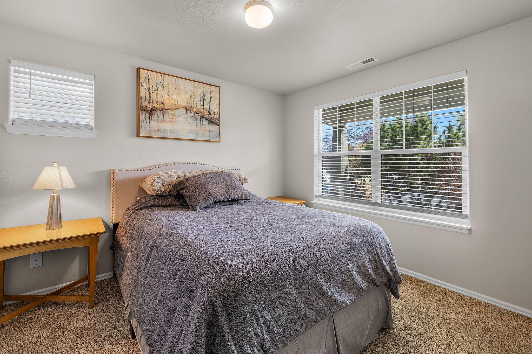 Willow Springs - Residential