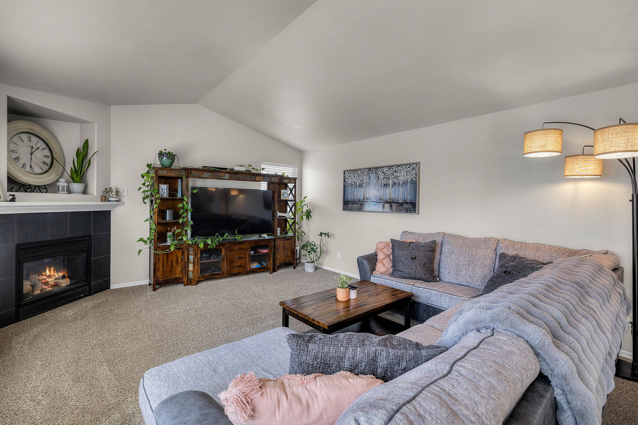 Willow Springs - Residential