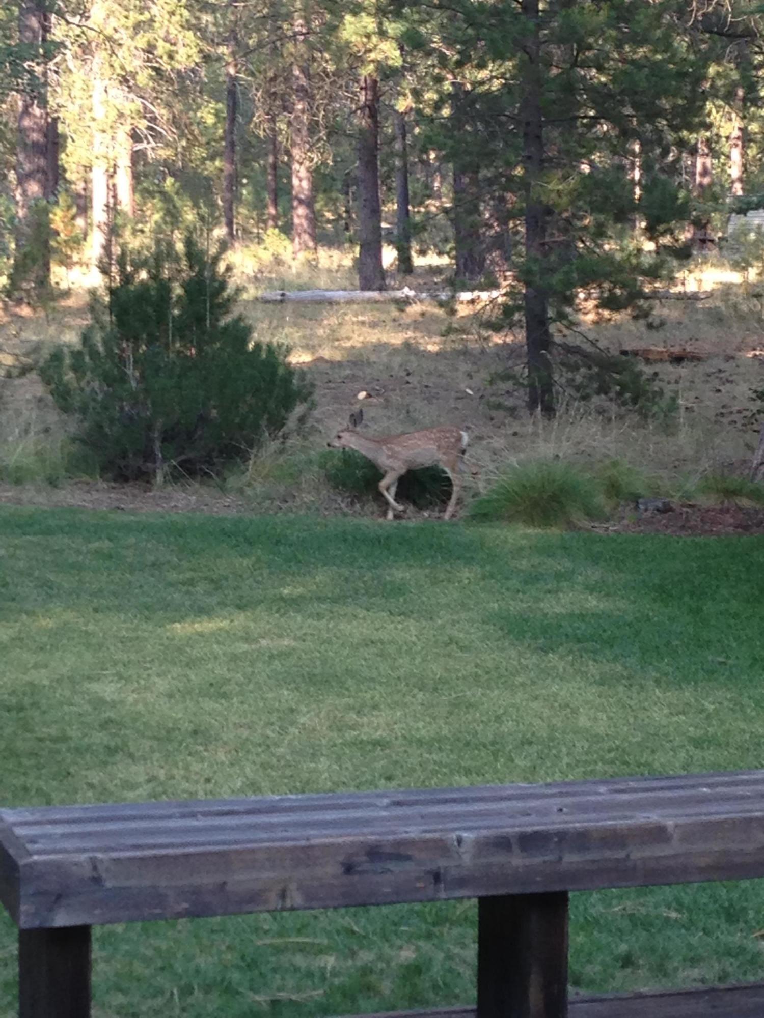 Overlook Park - Residential