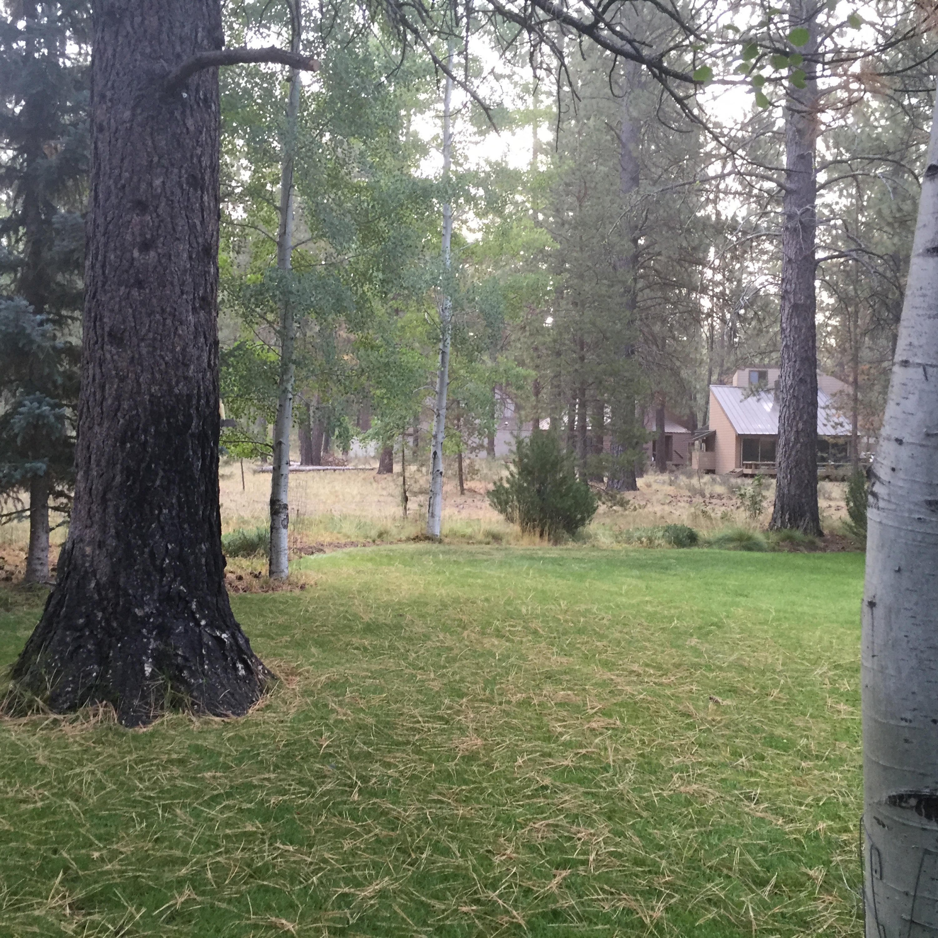 Overlook Park - Residential