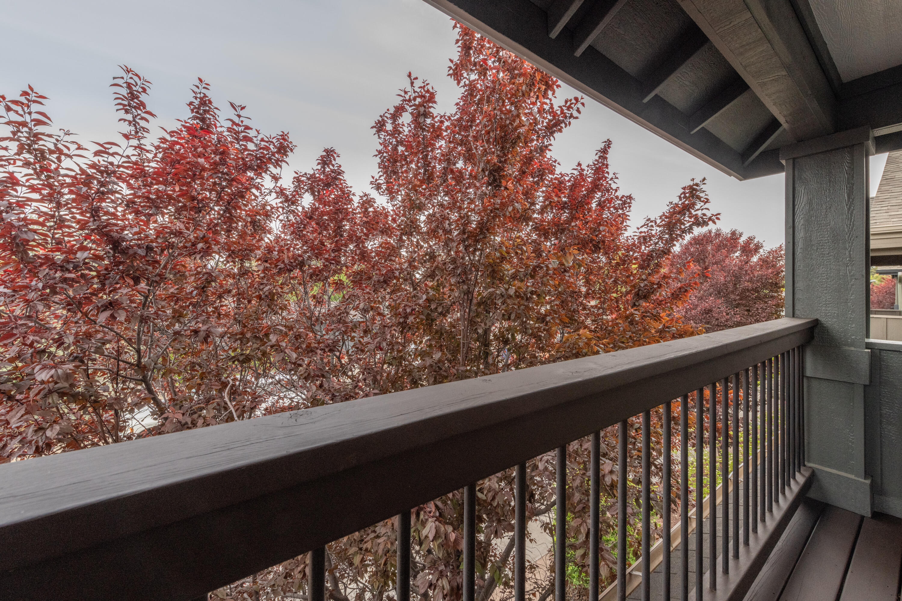 Coulter - Residential