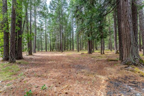 Tiny photo for 755 Rough Ready Creek Road, OBrien, OR 97534 (MLS # 220219633)
