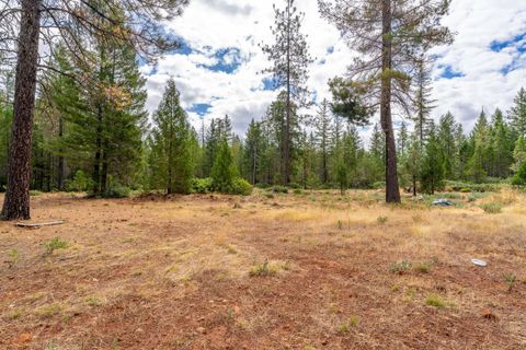 Tiny photo for 755 Rough Ready Creek Road, OBrien, OR 97534 (MLS # 220219633)