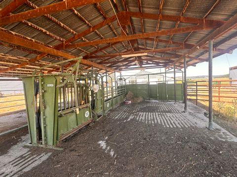 Tiny photo for 7122 E Langell Valley Road, Bonanza, OR 97623 (MLS # 220209849)