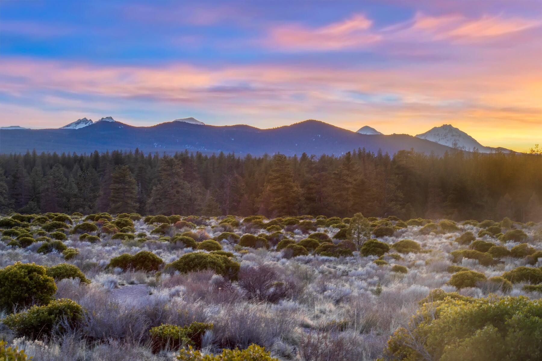 Shevlin Commons - Residential