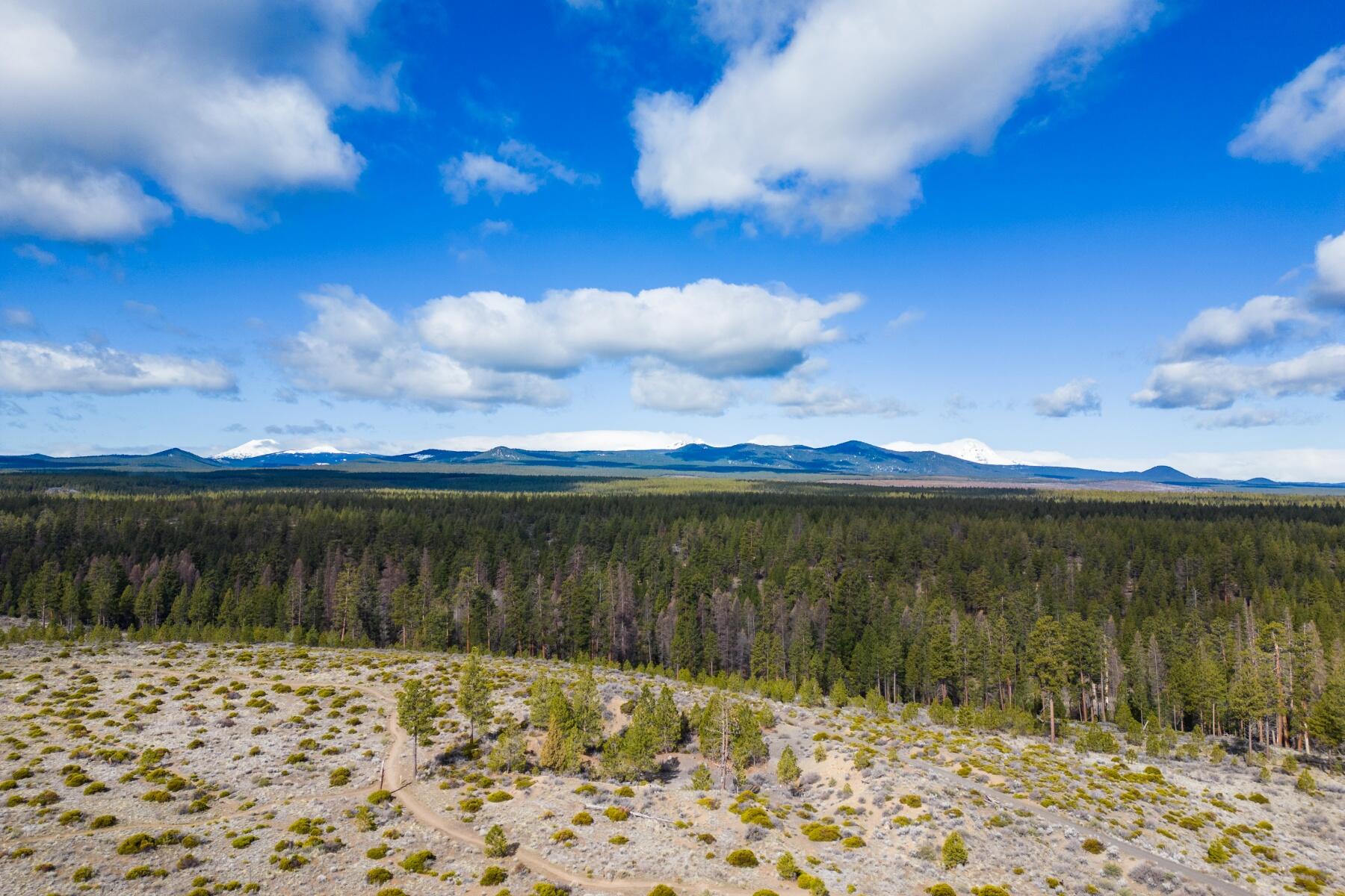 Shevlin Commons - Residential