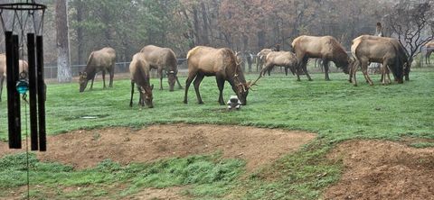 Tiny photo for 201 Hoffman Way, Grants Pass, OR 97526 (MLS # 220219682)