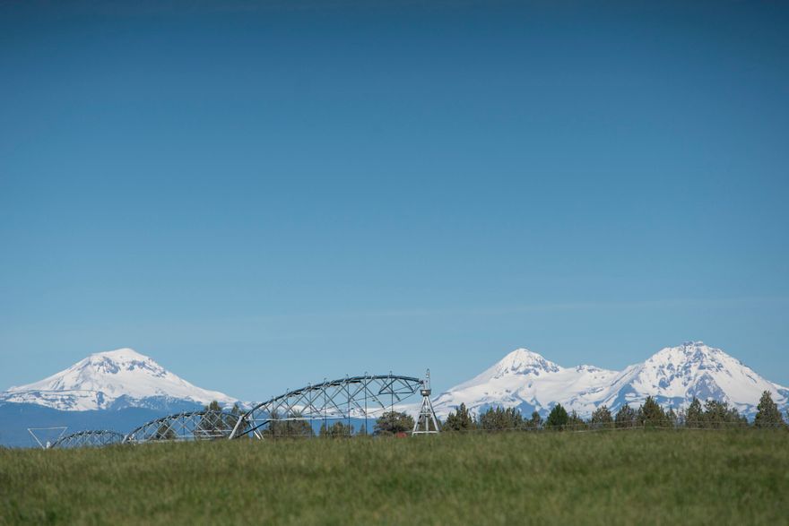 The North Unit of the Middway Ranch is a working hay ranch comprised of 319 acres with 269.7± acres of century old senior water rights. Ample irrigation is provided through 2 zimmatic pivots fed by the Central Oregon Irrigation District. Pivots are configured for remote control, monitoring and adjustment. This property consists of 4 tax lots, 3 of which already have their own address. There is a (40 X 60) shop with 2 (24 X 60) machine sheds on both sides, (72 X 176) hay barn, and working corrals. Pressure pumps have been completely overhauled. Land is ready to be leased out, and all farm equipment can be purchased.