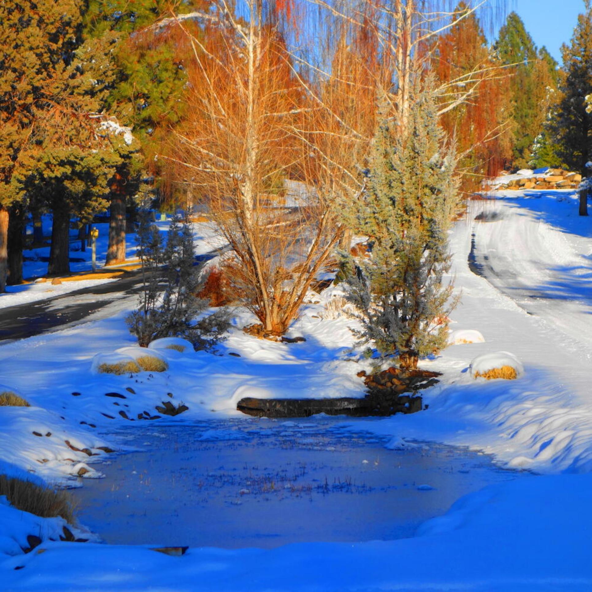 Aspen Lakes Golf Est - Residential