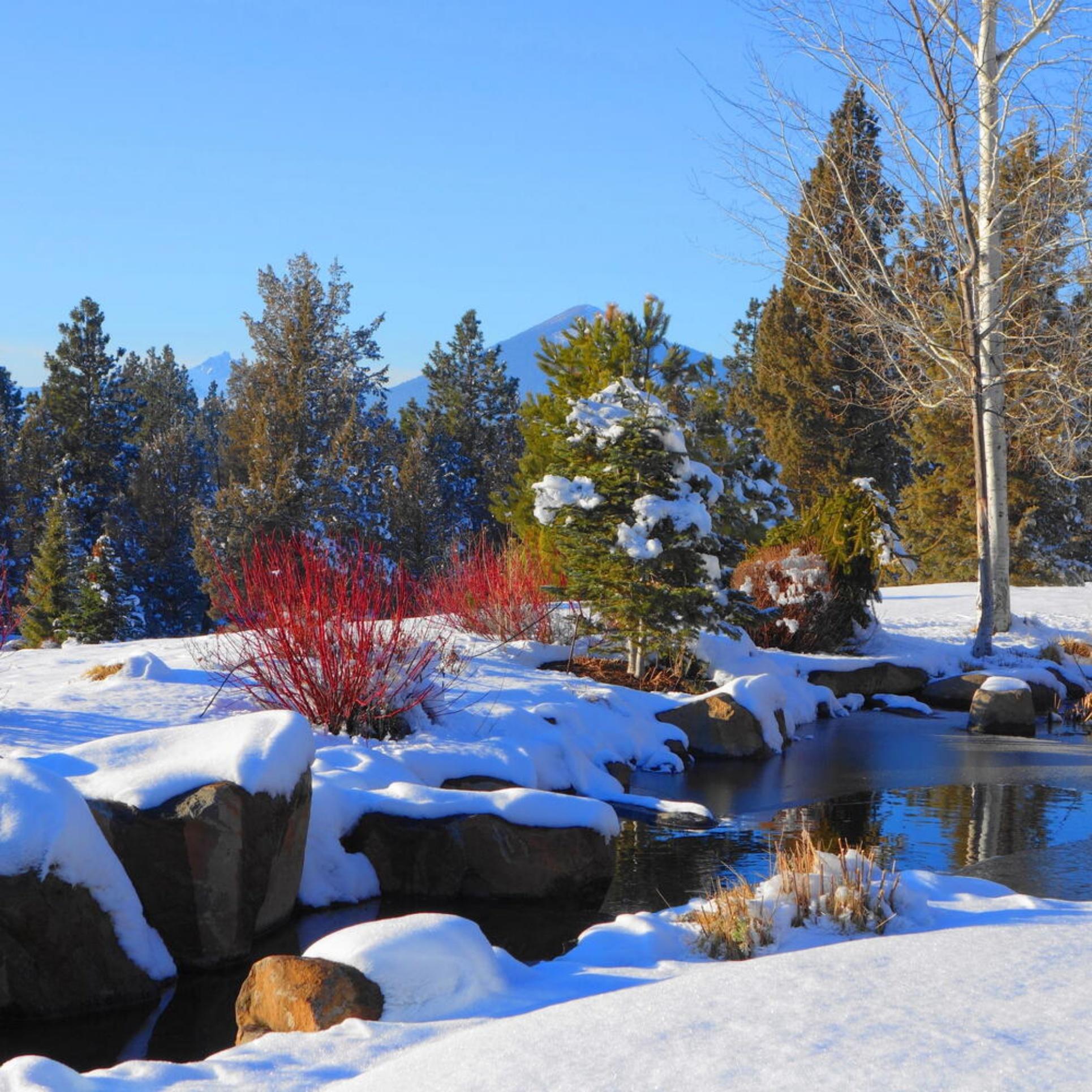 Aspen Lakes Golf Est - Residential