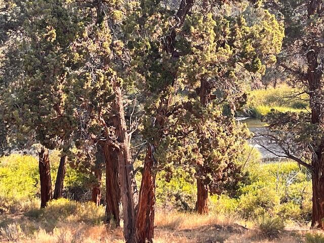 Desc Rvr Hmst Rimrk - Residential