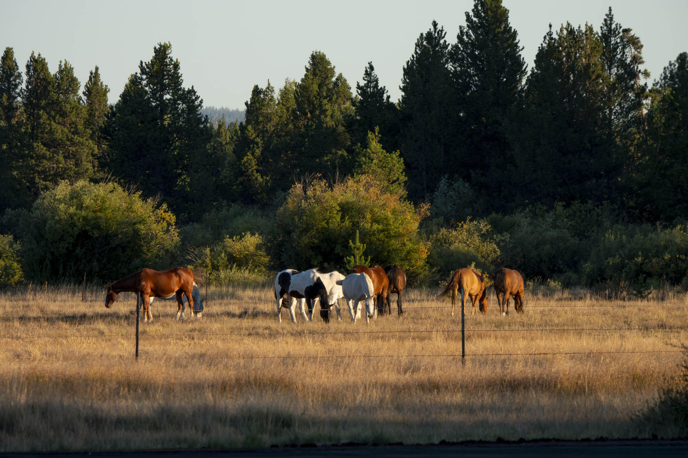 Skypark - Residential