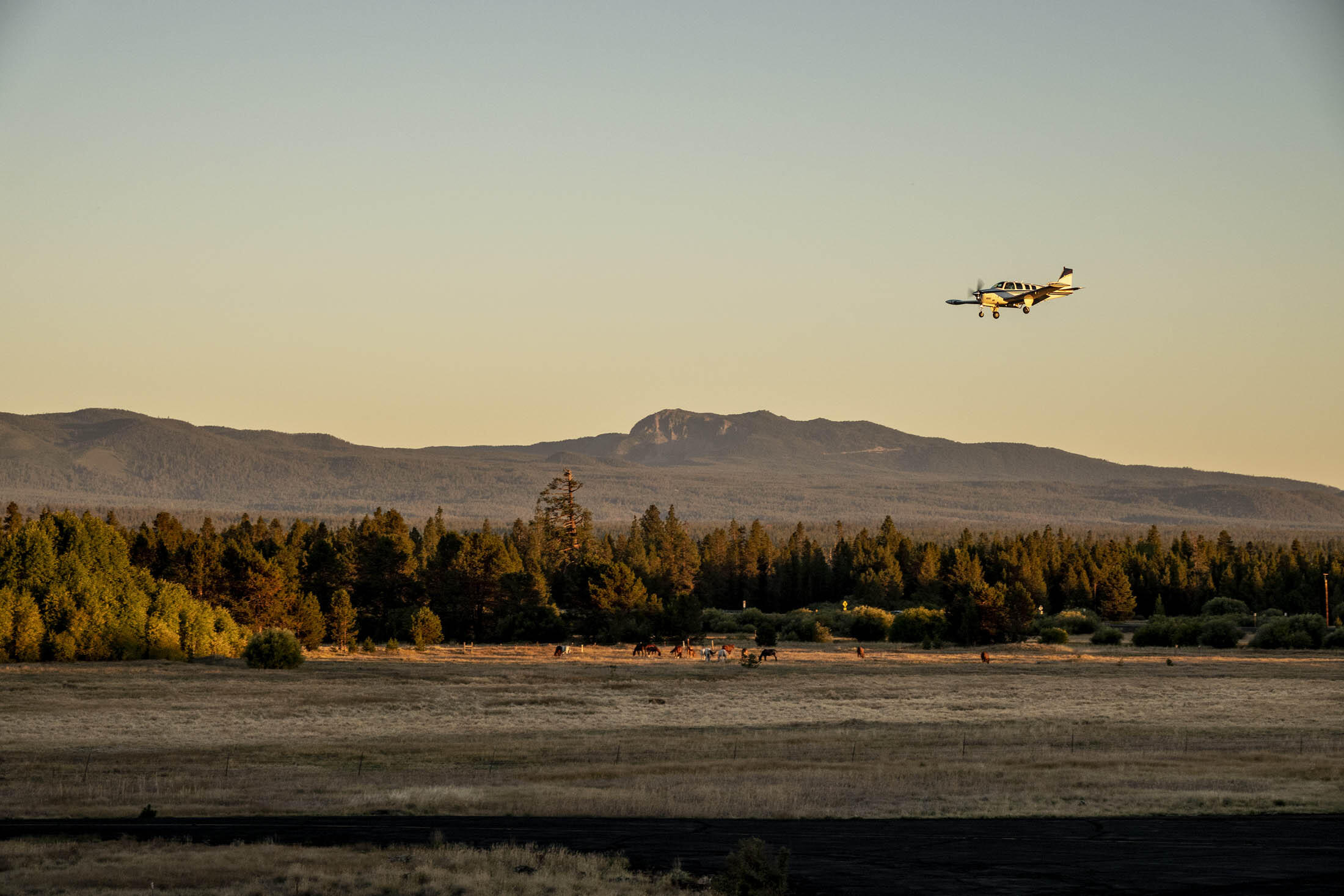 Skypark - Residential