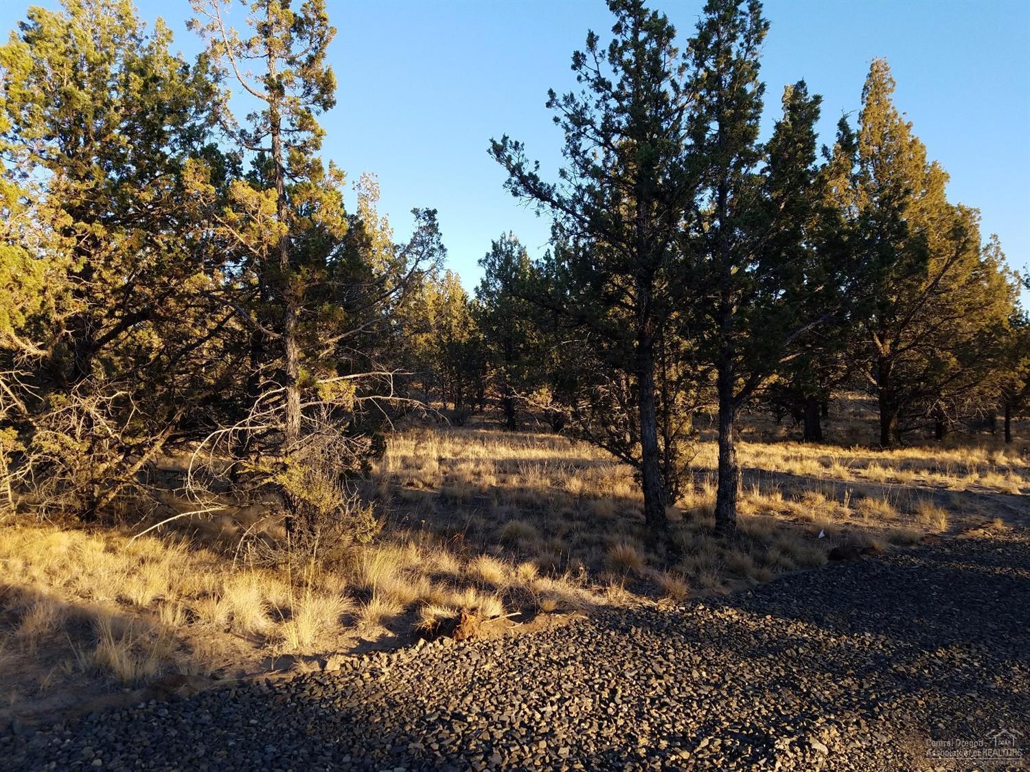 Ochoco Land + Livest - Land