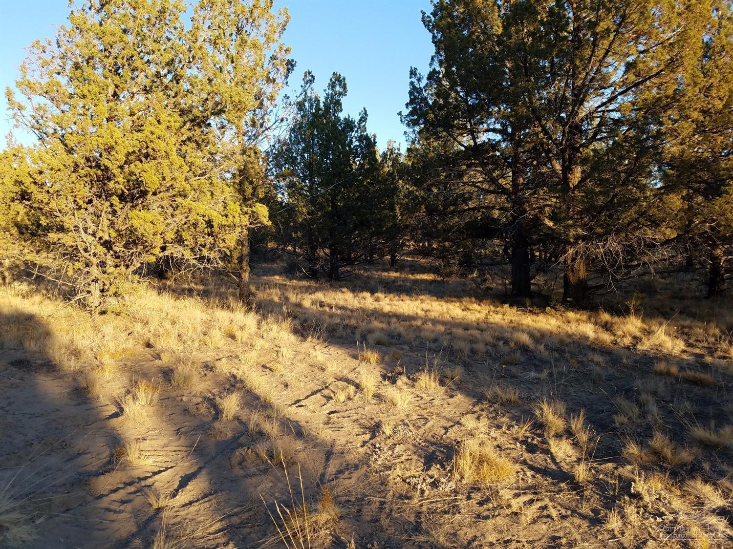 Ochoco Land + Livest - Land