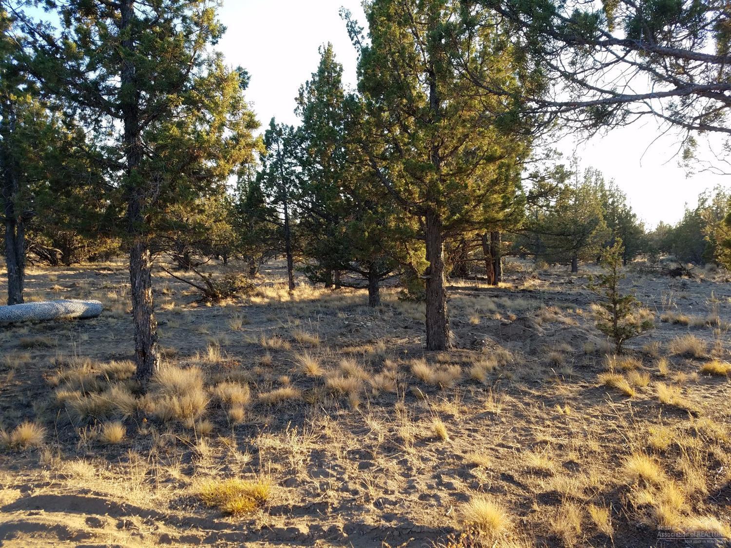 Ochoco Land + Livest - Land