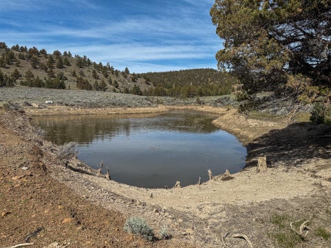 Tiny photo for 25405 SE Bear Creek Road, Prineville, OR 97754 (MLS # 220223731)