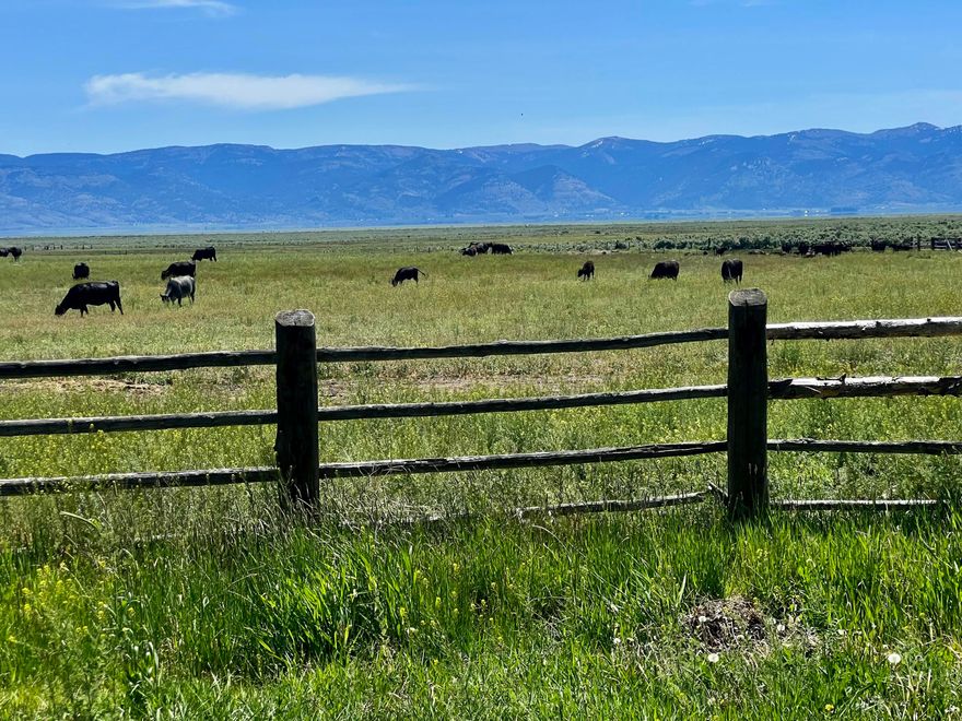 203 total acres of quality pasture grass & dryland farm on the Westside of Lakeview, Oregon.  112 acres Lakeview Water Users certified irrigation water rights with 40 acres of tailwater, all flood irrigated.  1 bedroom/1 bath home, bunkhouse, metal equipment shed, shop/storage, 4060 SF wooden hay/livestock barn with stalls and head catch.   2 domestic wells plus stock water solar well.