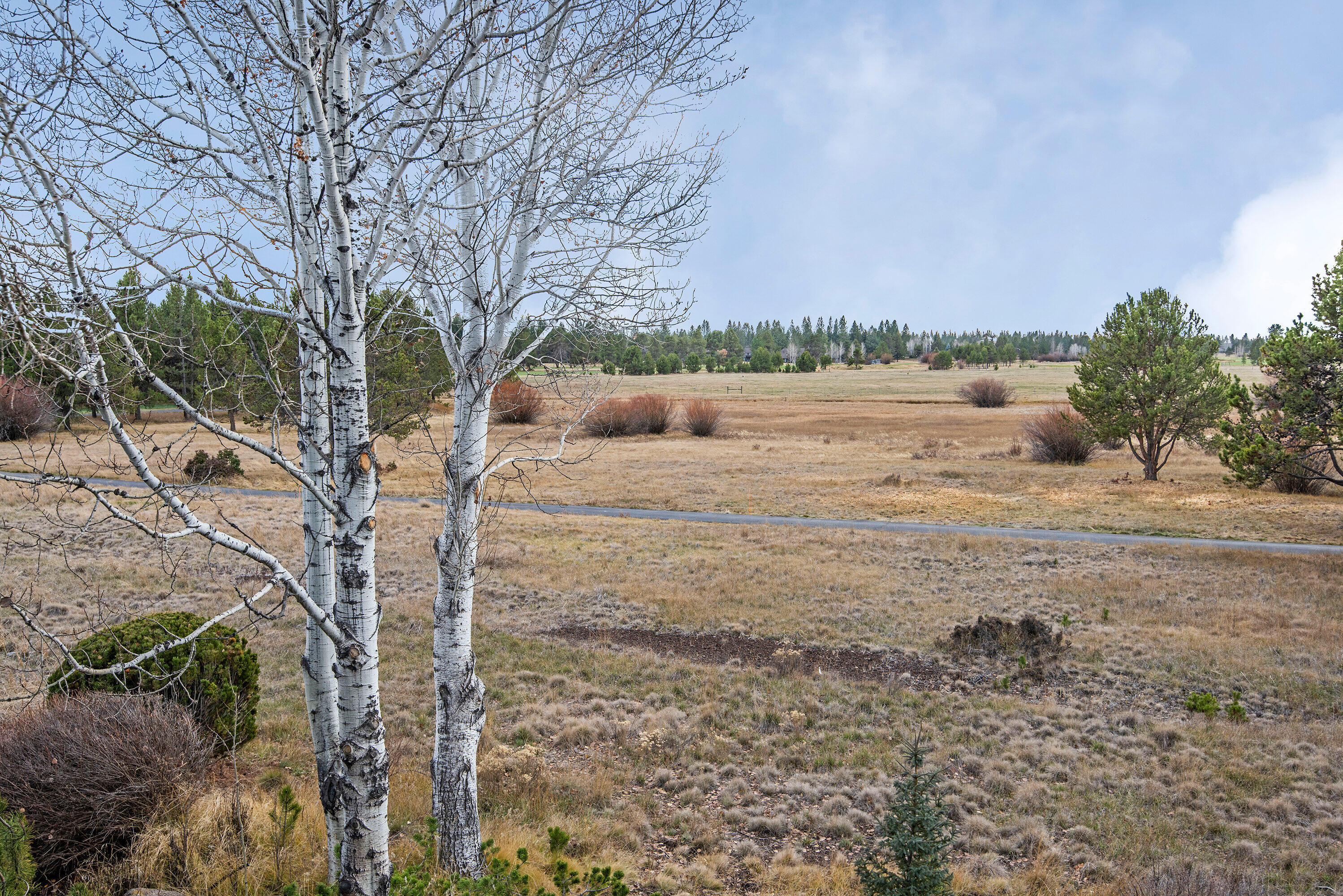 Aspen Meadows - Residential