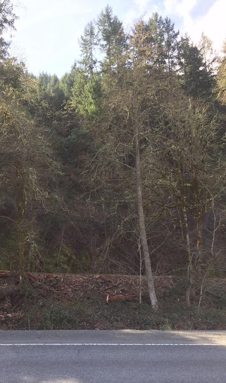 5.37 acres located approximately 3 miles from the center of Grants Pass.