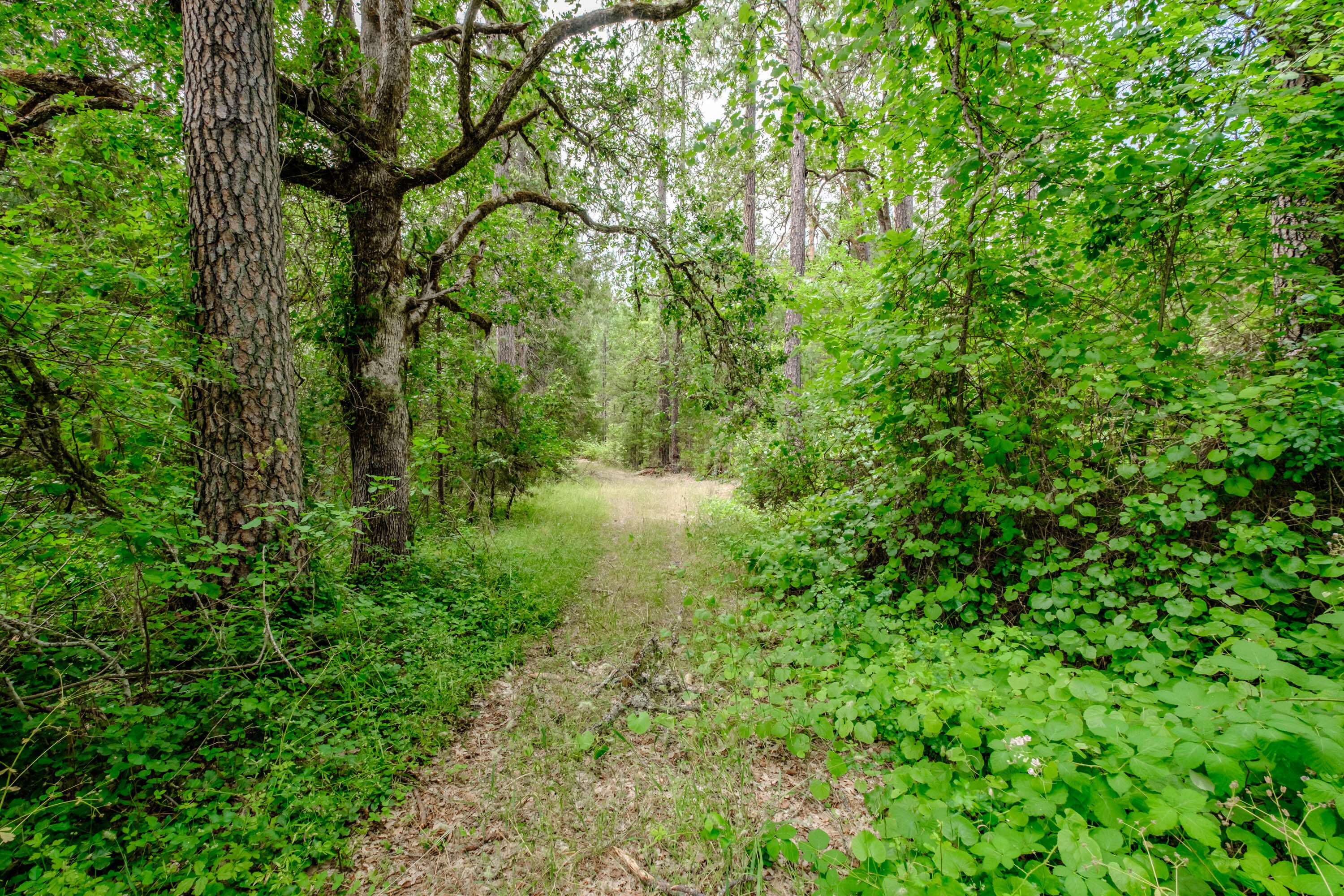 Ward Road Estates - Residential