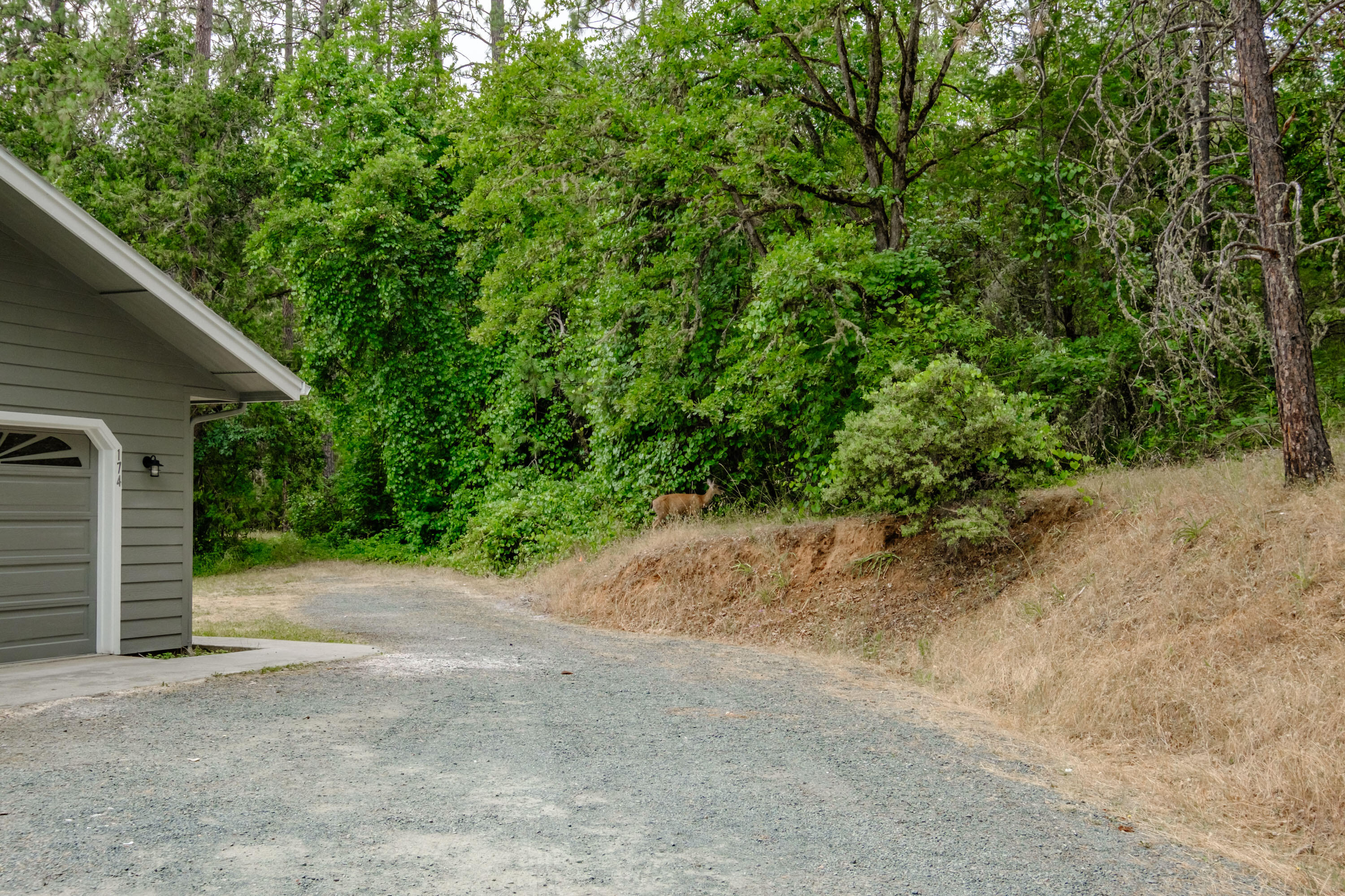 Ward Road Estates - Residential