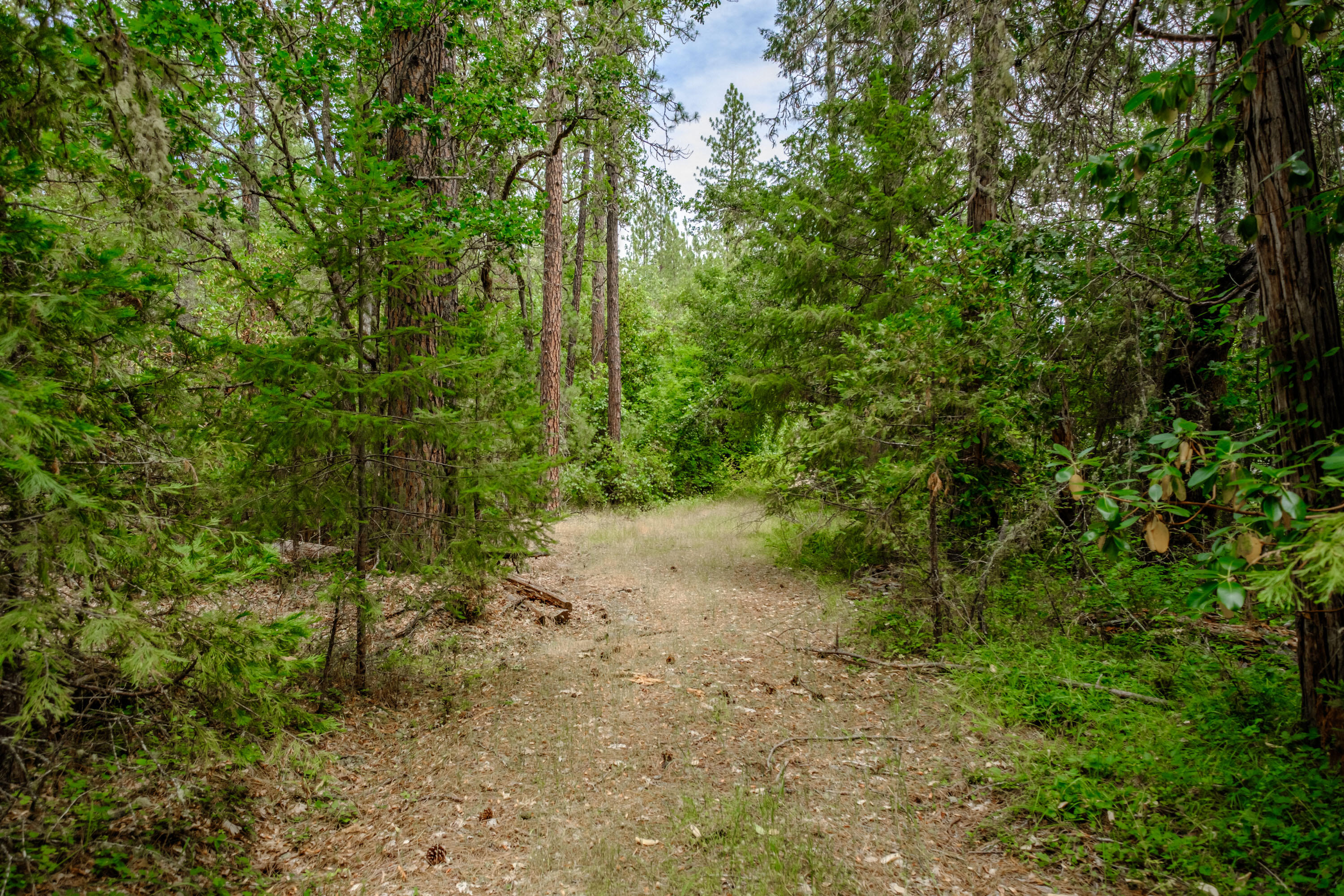 Ward Road Estates - Residential