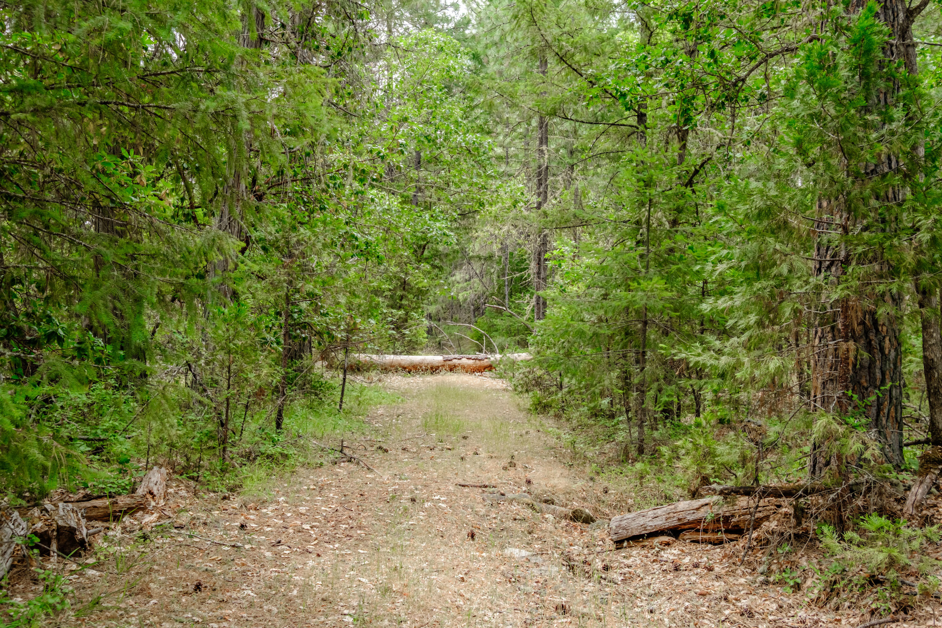 Ward Road Estates - Residential