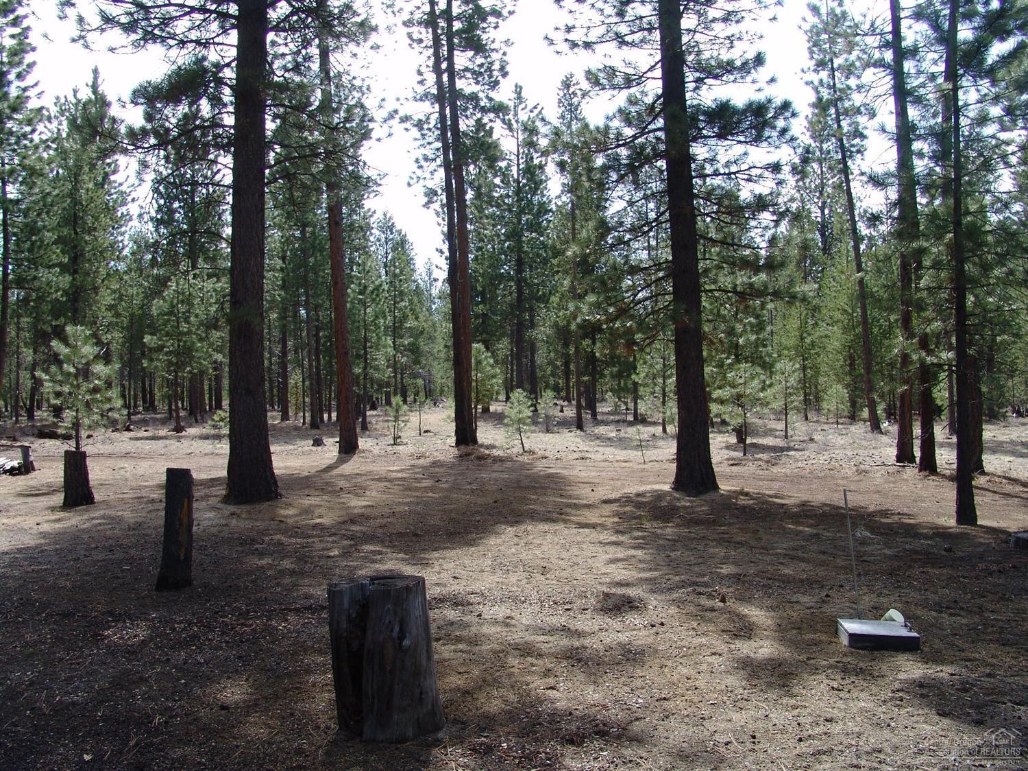 South 40 - Residential