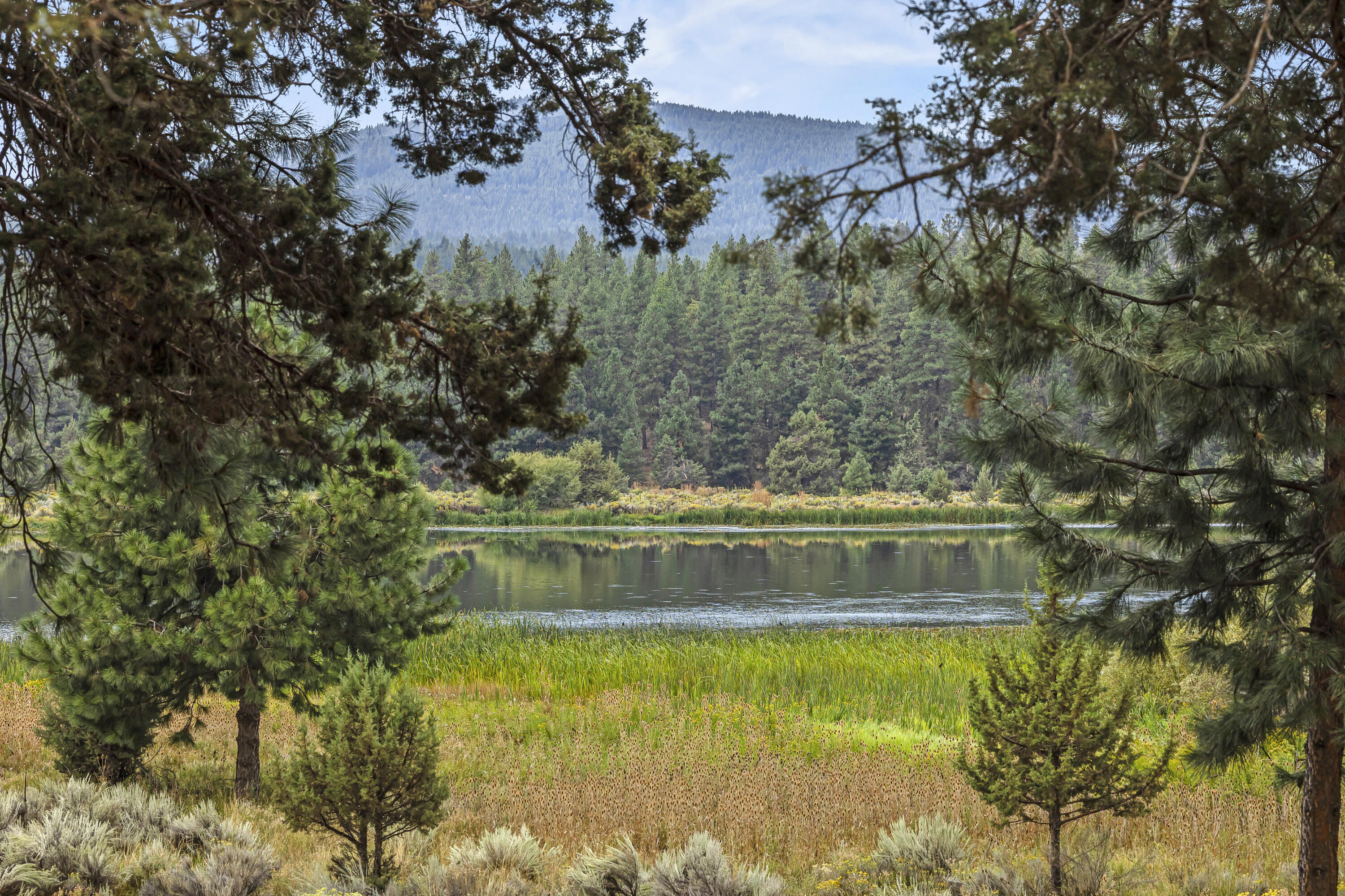 Klamath River Acres - Residential