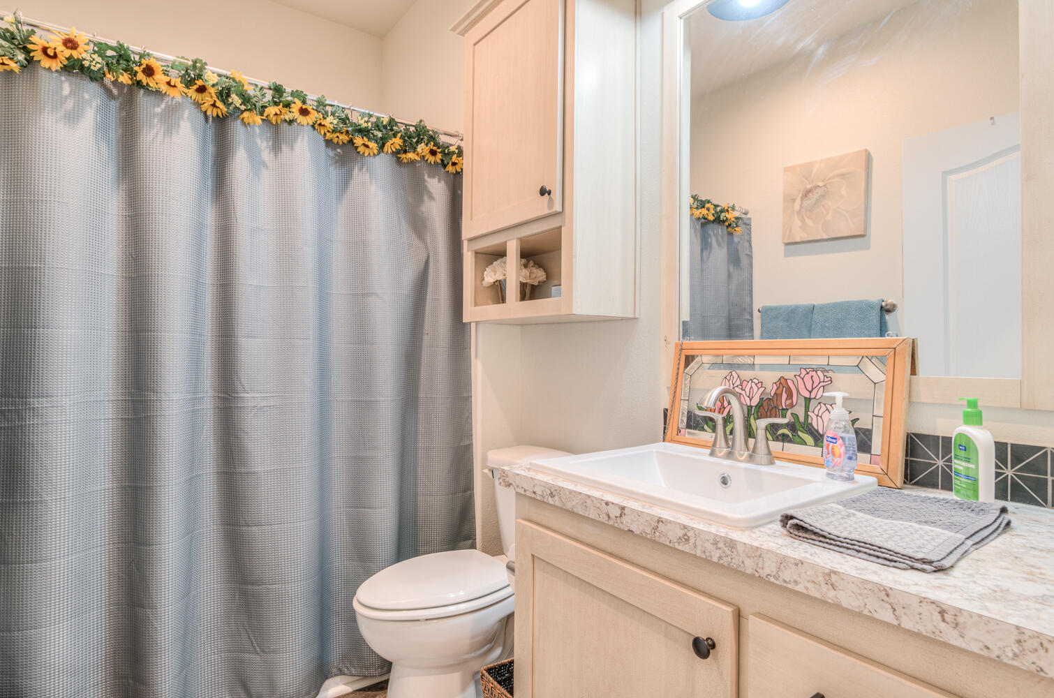 Conifer Acres - Residential