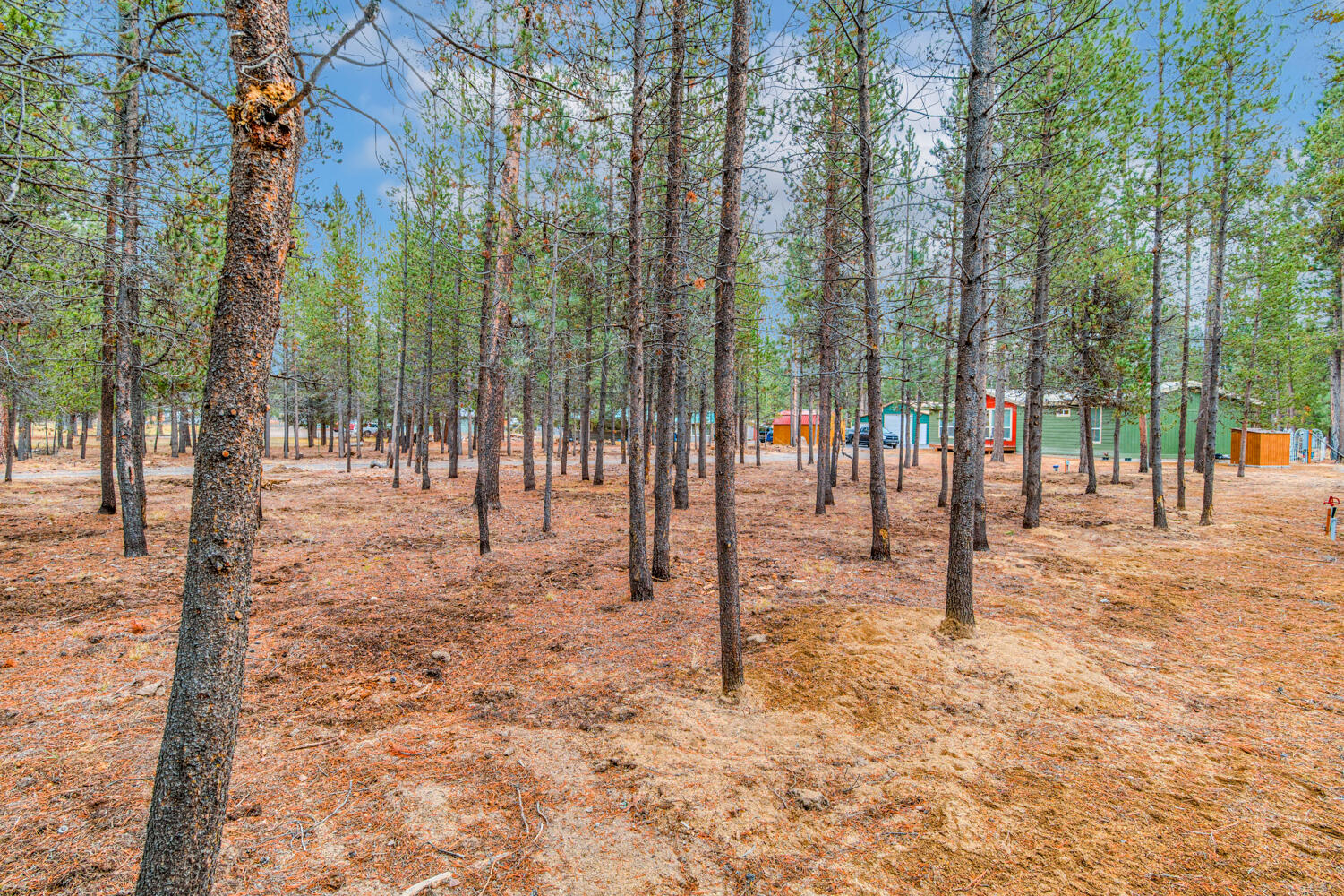 Conifer Acres - Residential