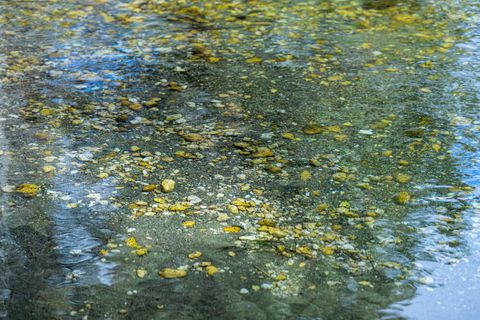 Tiny photo for 50205 Hwy 62, Chiloquin, OR 97624 (MLS # 220219354)