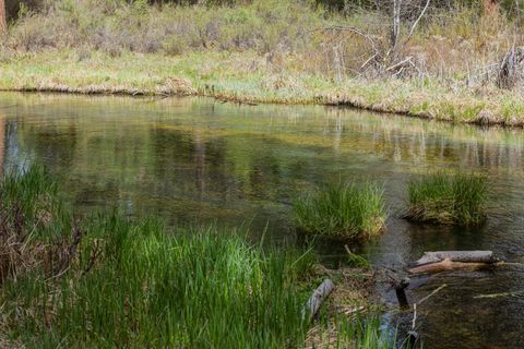 Tiny photo for 50205 Hwy 62, Chiloquin, OR 97624 (MLS # 220219354)