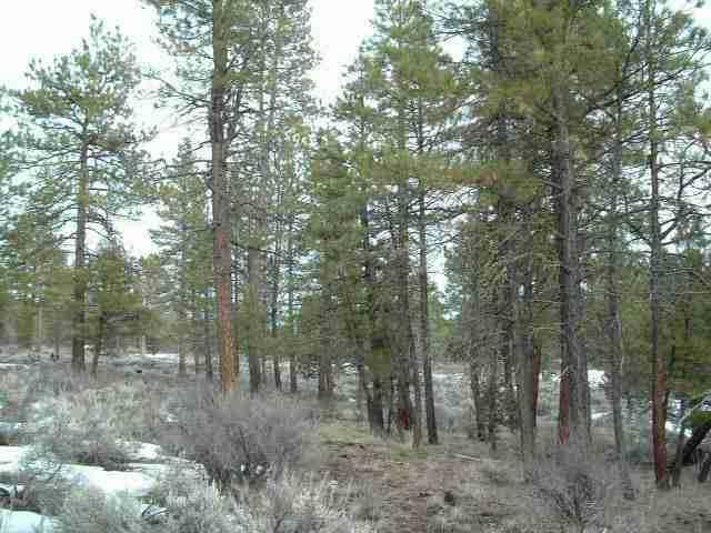 Sprague River - Land