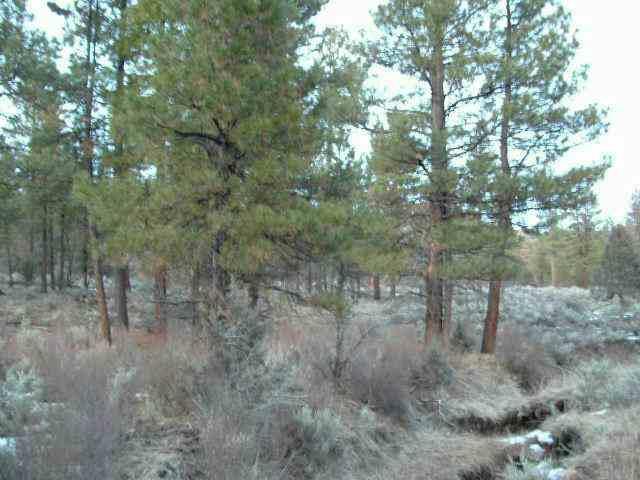Sprague River - Land