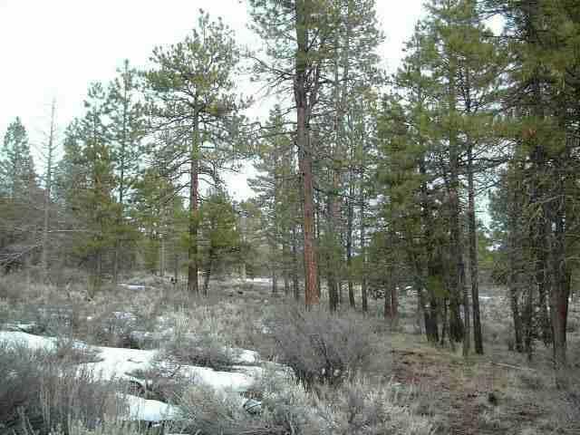 Sprague River - Land