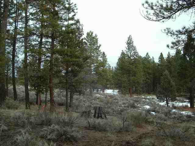 Sprague River - Land
