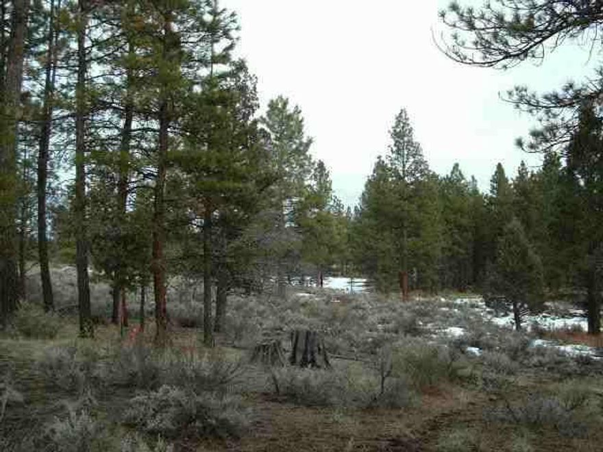 120' Deep Well Per Log However Art Fry (533-2210 Or Cell 892-1020) Tested Well Found Only 11 Feet Of Water. Well Needs Deepening. With Good Credit Report $4000 Down. Power Over 1,000 Feet Away.