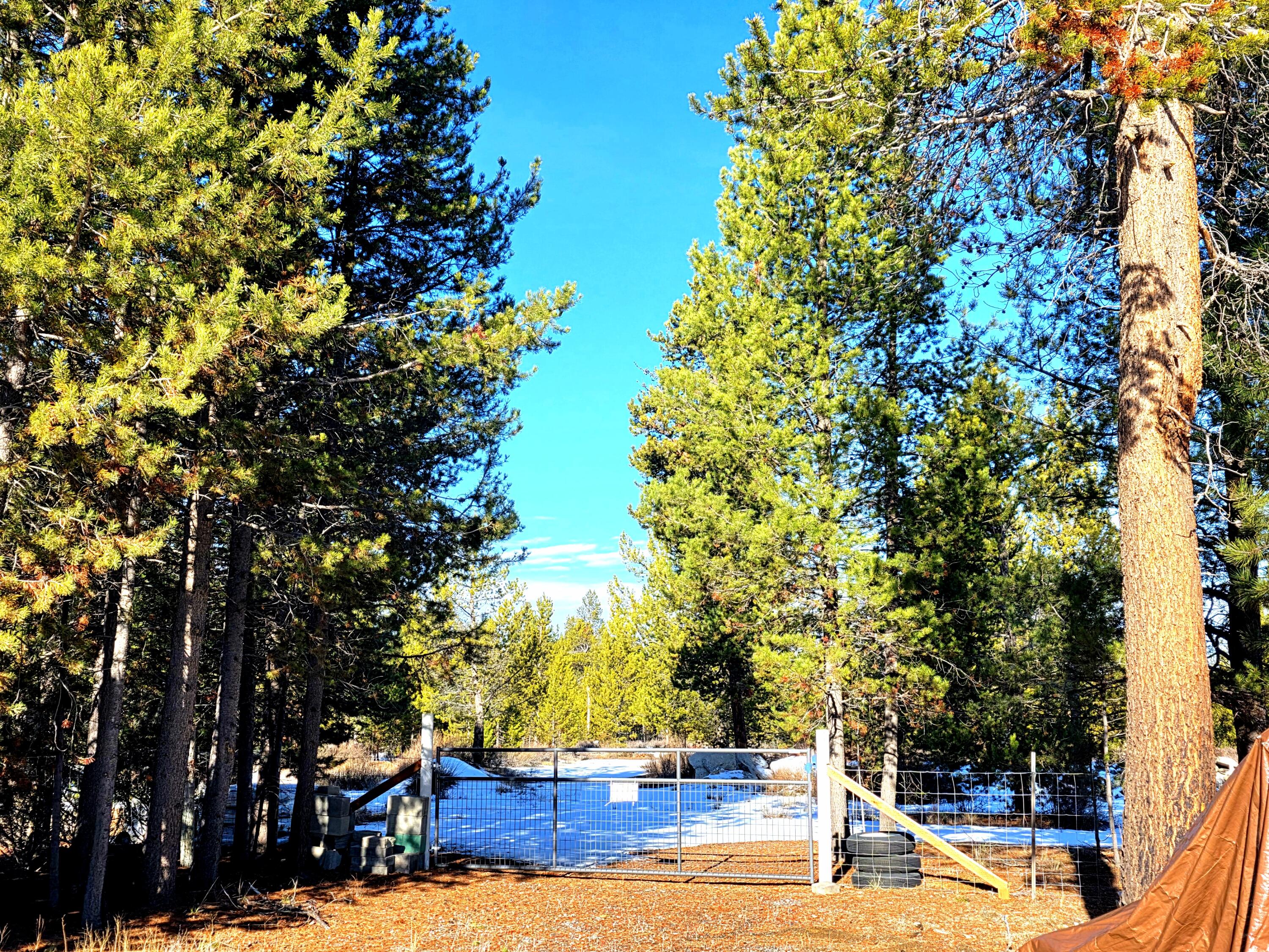 Jack Pine Village - Residential