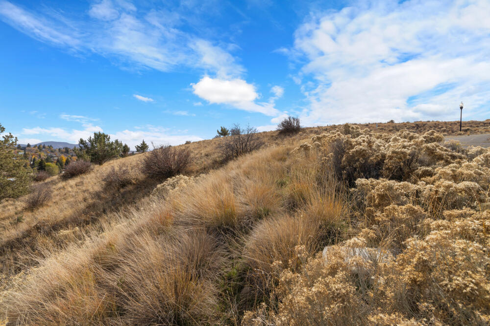 Link River Estates - Land