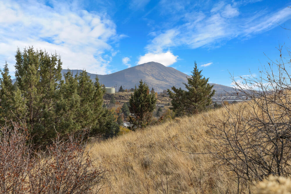 Link River Estates - Land