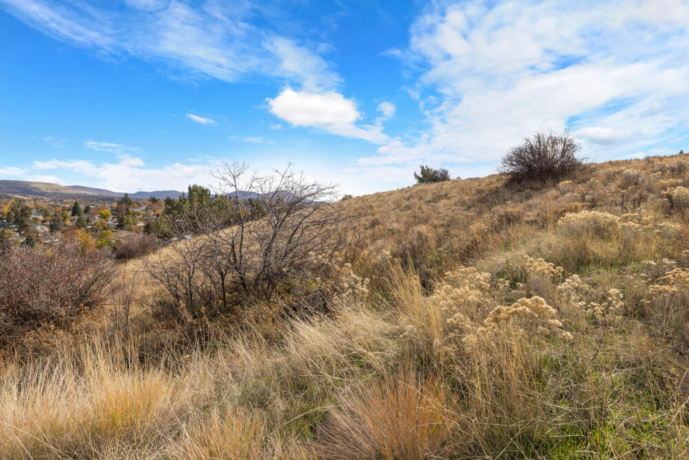 Link River Estates - Land