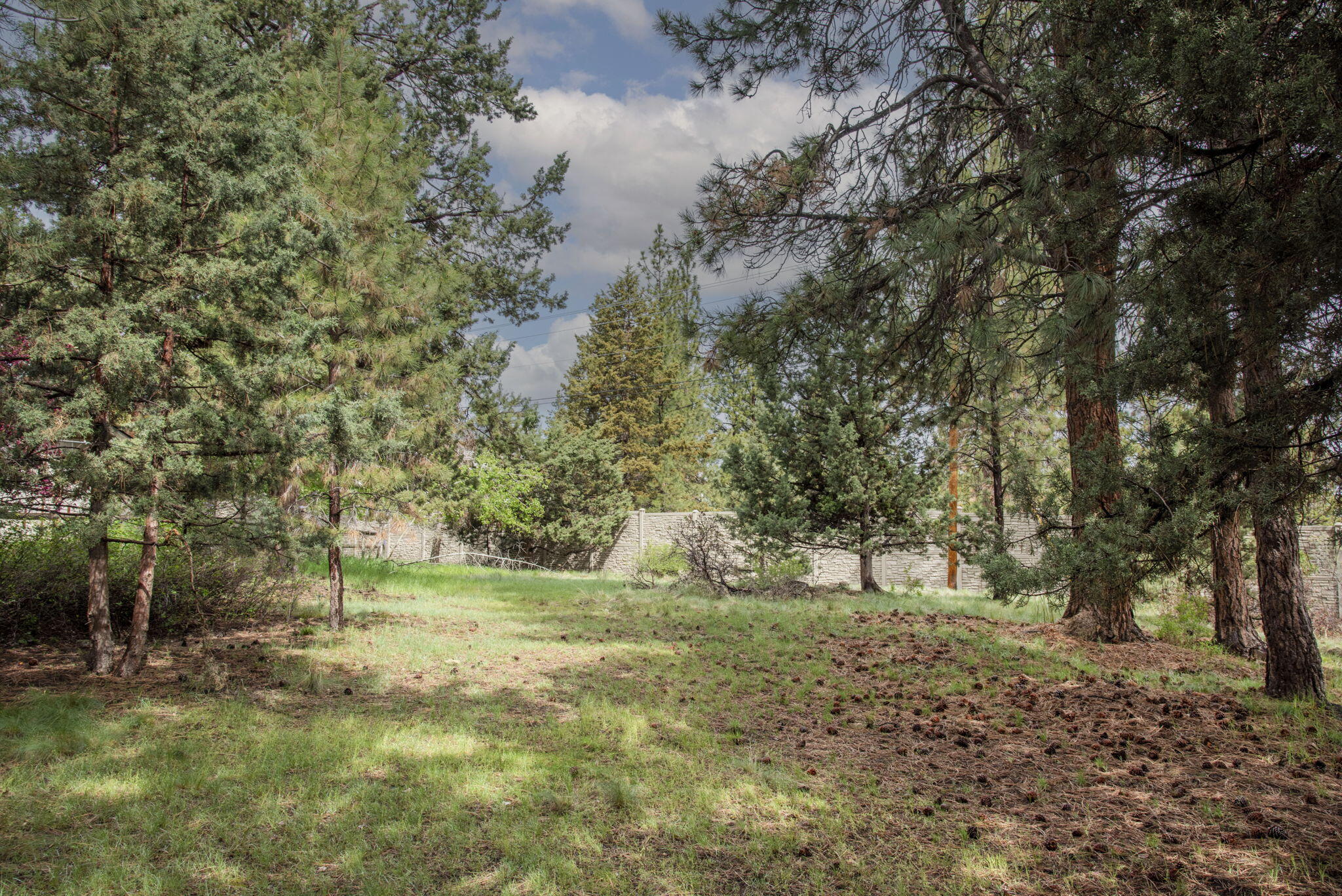 Pinebrook - Residential