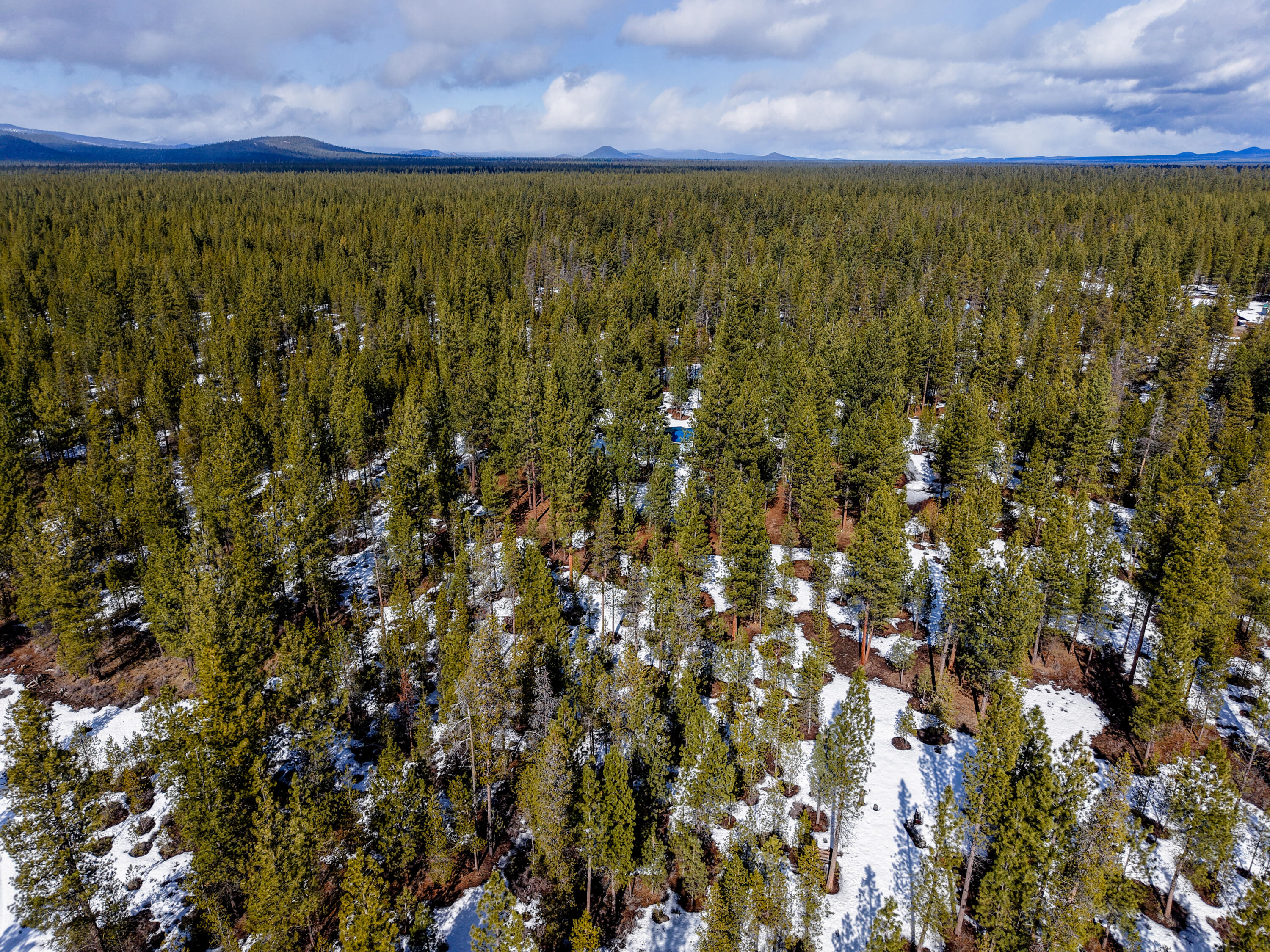 South 40 - Residential