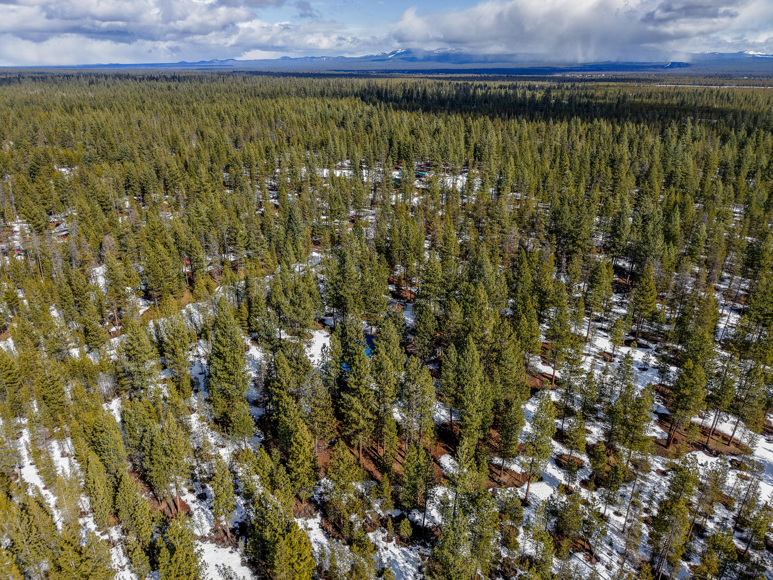 South 40 - Residential